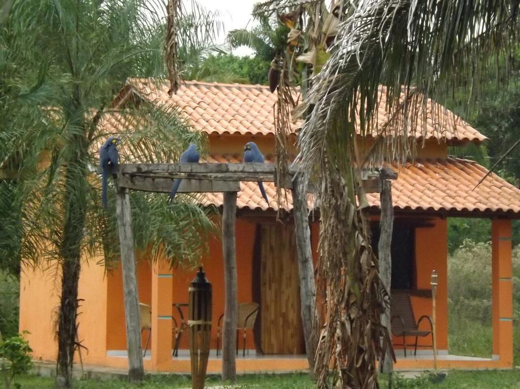 Pousada Reserva Ecologica Jaguar Poconé Εξωτερικό φωτογραφία